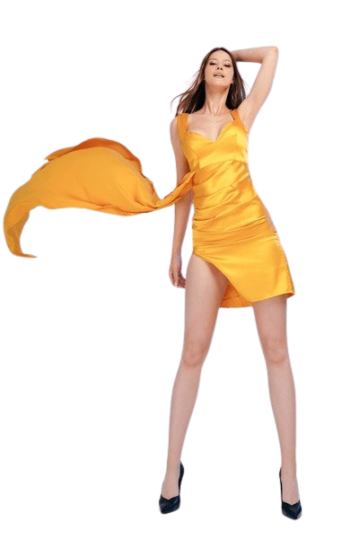 Slim Fit Evening Dress