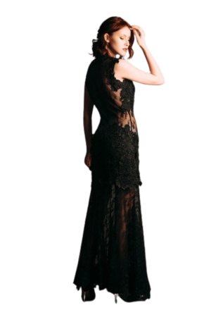 Elegant Lace Evening Gown