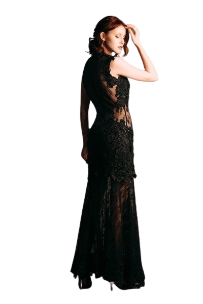 Elegant Lace Evening Gown